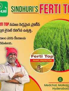 FertiTopImage